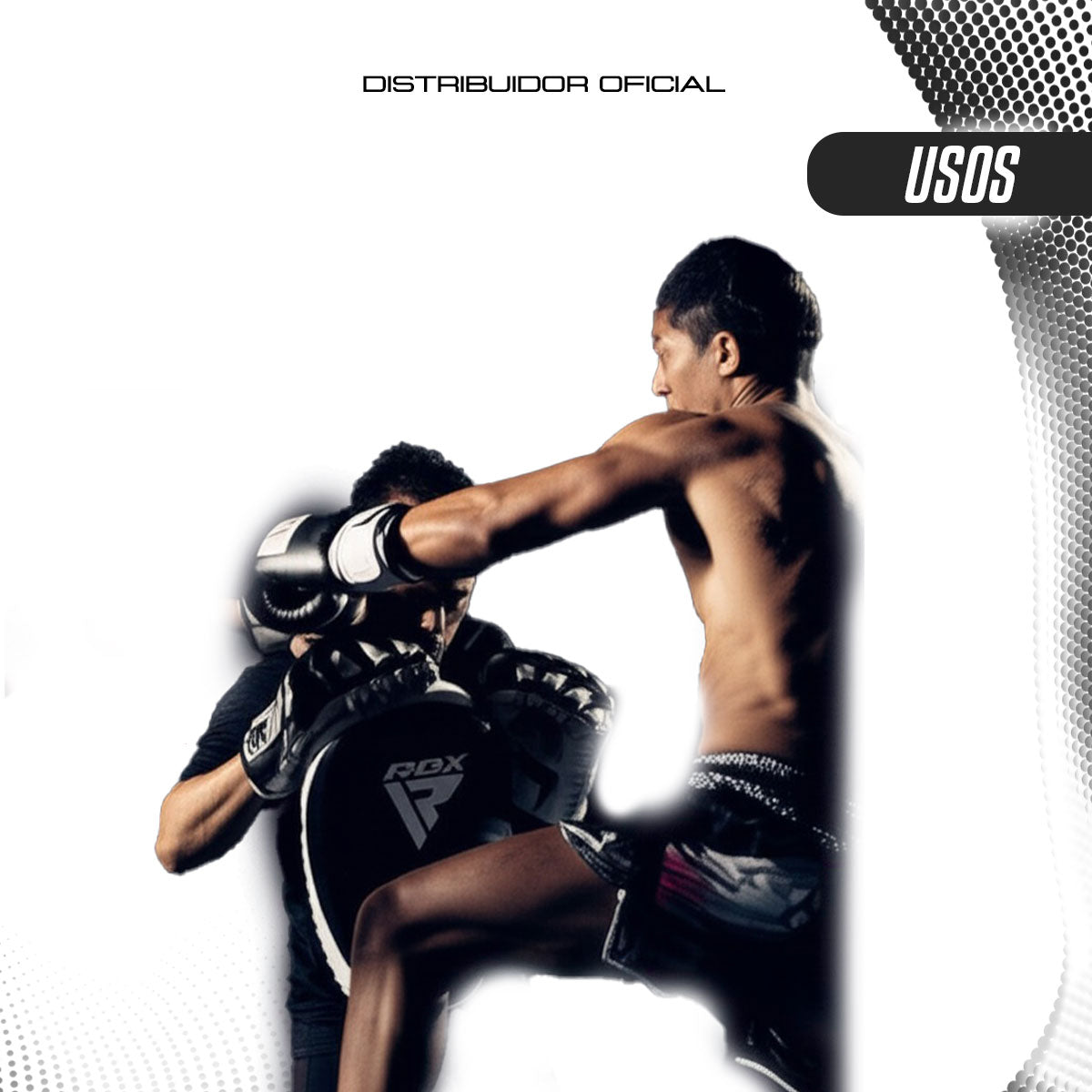 MUAY THAI KICK PADS RDX T3