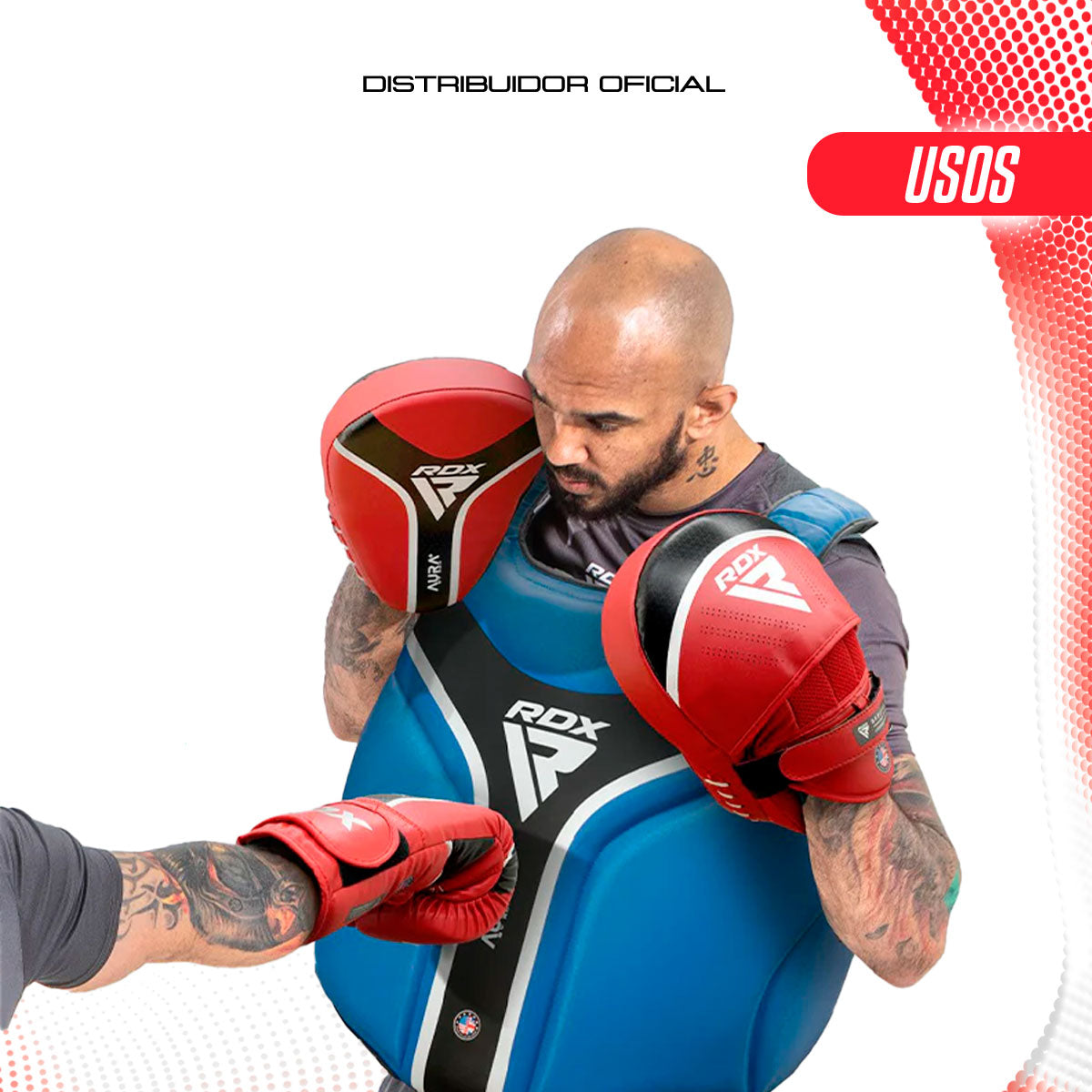FOCUS PADS RDX T1
